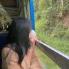 icebear_iija