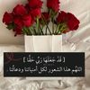 aa12n_a