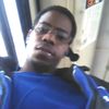 treeblud.swammerdami