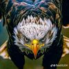 afafa925