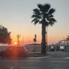 ale_borlo17047