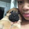 zamfaith2