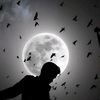 _skullcrusher1432