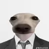 hoangtuluongtai7