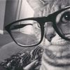 delll_mkn226