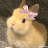 pikachuuu199