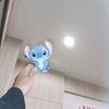 judy10205124