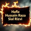 hussainrazasial166