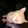 itsmemauie6