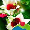 shekh.farid2222