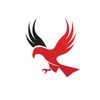 kicauan0