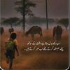 anees.ur.rehman124