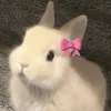 chloe_pueple1