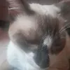 yfvvdutdf