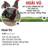 traiga.hoaivu
