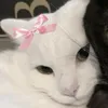 elo_elo12
