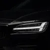 lysek75