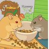 hammykz0207