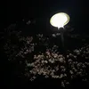 _.ceyda038