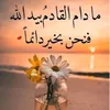 nmaybarann7