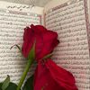 sawsan.elgdawy