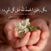 nadjet.boutouba