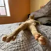 ana_pancake00