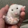 mostlycoolvideos