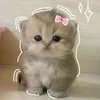 biaviowvcy4