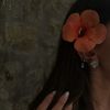 lir_114