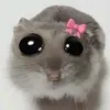 panchomik2137