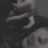 .wildow