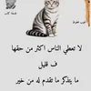 www.tiktok.comfati157