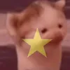 mai_linh511