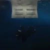 gui_d4