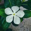 rubiyouaremybestfriendi2