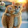 anu_babah02
