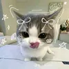 qorry24