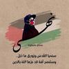 noha.mohamed88