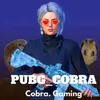 cobra_gaming.1
