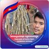 sokphert.pich