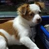 zaw.lay4788