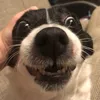 fucsunburns