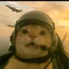 monaavoshka