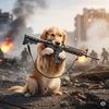 pawpowshooter