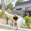 graygodosz