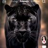sattar.sattar72