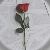 aidann_040