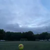 frankedvard3