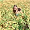ma.theintm